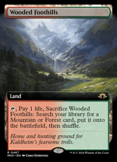 Wooded Foothills Modern Horizons 3 Bordless